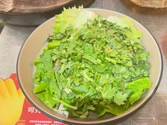 -朱光玉火锅馆(龙阳广场店)