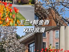 -上海瑞金洲际酒店