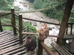 -峨眉山风景名胜区