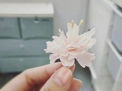 -美斯烘焙培训学院•蛋糕•面包•咖啡(宝安校区)