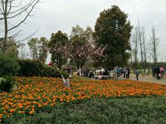 -白鹭湾湿地公园