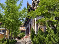 -博山正觉寺