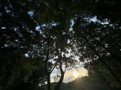 -拾溪餐厅·包厢(杭州千禧度假酒店)