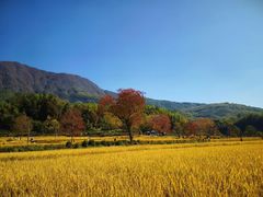 -塔川景区