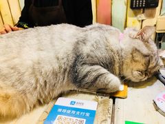 -小时光咖啡馆(开森度假森林店)