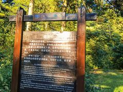 -庐山风景区花径公园