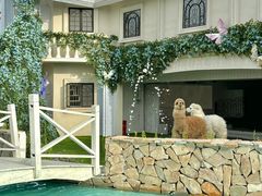-Blue Concept Cafe&Farm·關於藍