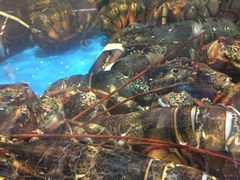 -上和臻品中国菜(花园街店)