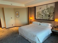 -上海嘉定喜来登酒店