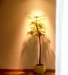 -闺蜜瑜伽·普拉提女性塑形馆