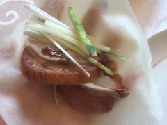 iphone_upload_pic-湖庭壹品鸭王·传统北京烤鸭·别墅私房菜·庭院宵夜(江宁店)