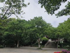 -伯先公园