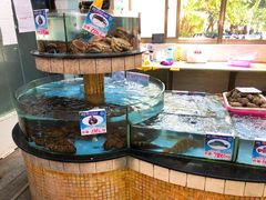 水产区-春园海鲜广场D区6号(钟姐海鲜加工店)