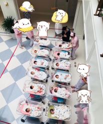 -盈月阁母婴护理中心·月子中心·月嫂育儿嫂