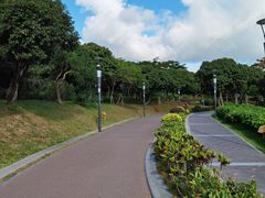 -立新湖公园