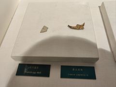 -王府井古人类文化遗址博物馆