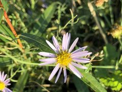 景点-野鸭湖国家湿地公园