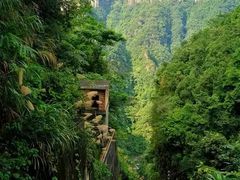-广东大峡谷