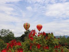 -中国科学院西双版纳热带植物园