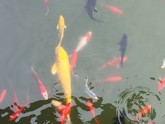 -西安华清御汤酒店