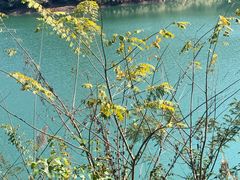 -孔雀湖生态旅游区