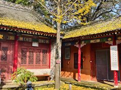 -少华山国家森林公园