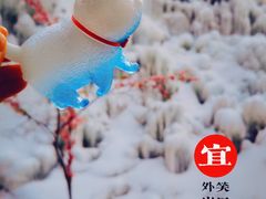 -黑龙潭风景区