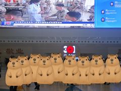 -中国人民解放军总医院