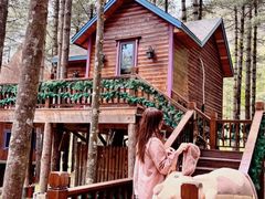 -洛阳白云山景区