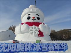 -沈阳奥体冰雪嘉年华