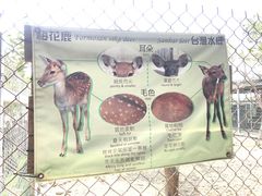 -鹿境梅花鹿生态园区