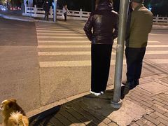 -申普宠物医院·眼科·心内科·影像科(普陀分院)