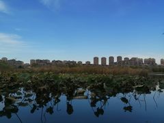 -前关湿地公园