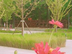 -抗美援朝烈士陵园