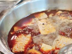 -金鼎雪山牦牛杂火锅(理县总店)