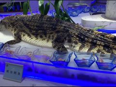 -澜悦港海鲜体验主题餐厅