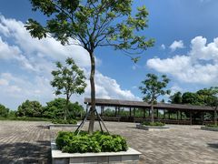 -广州市帽峰山景区