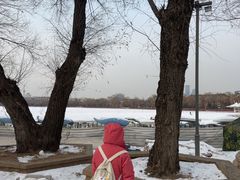 -长春市南湖公园