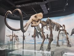 -辽宁古生物博物馆