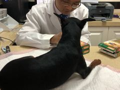 -安安宠医·安宠宠物医院