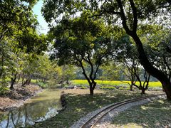 -长洲岛都市农业公园