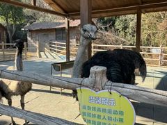 -无锡动物园·太湖欢乐园