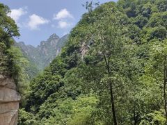 -陕西省红河谷森林公园