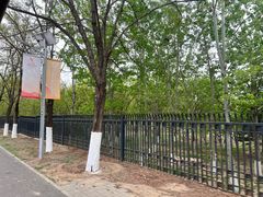 -永定河休闲森林公园