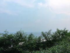 -玫瑰海岸文化旅游度假区