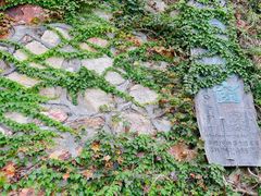 -温岭石塘海边