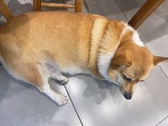 -阿木舂记·特色小吃(平江路店)