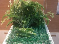 -迈德思客•汉堡•烤鸡(围墙巷店)