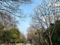 -西溪国家湿地公园