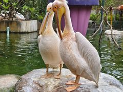 -灵玲国际马戏城